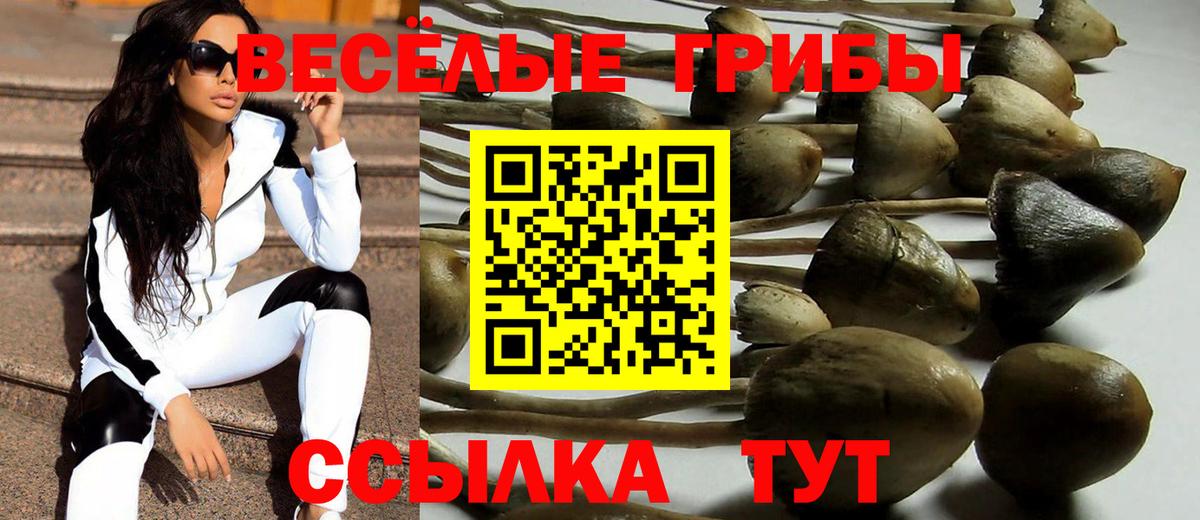 Усть-Илимск  Псилоцибиновые грибы Cubensis  Вход с VPN  Галлюциногенные грибы Psilocybe 