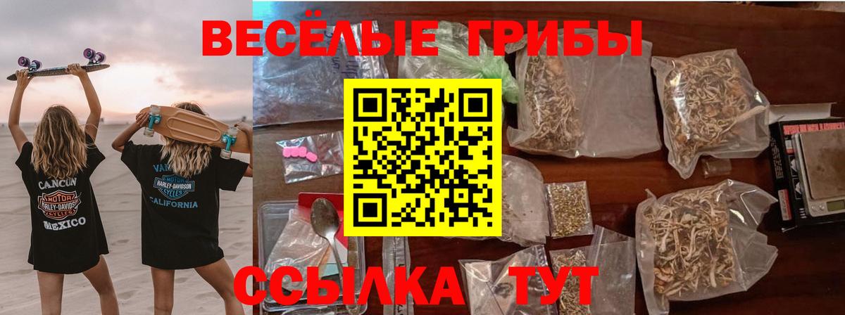 Галлюциногенные грибы прущие грибы Усть-Илимск